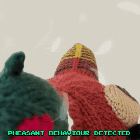 British Countryside Bird GIF by TeaCosyFolk