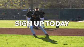 Baseball GIF