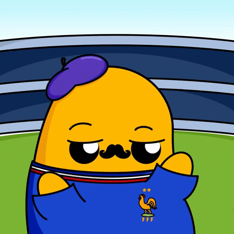 France Football GIF by lilpotates