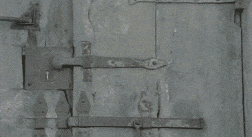 1981 GIF