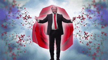 martin schulz rose GIF by funk