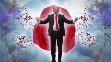 Martin Schulz GIFs - Find & Share on GIPHY