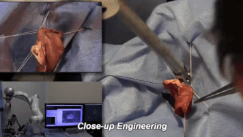 manueloccorso  GIF