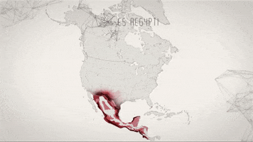 Aedes Aegypti Documentary GIF by Discovery