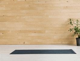 Yoga Karate GIF by Friluftsaktiviteter