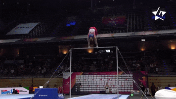 Sport Gymnastics GIF by Die Finals