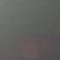 Stock Trading Memecoins GIF by Bobo Memes