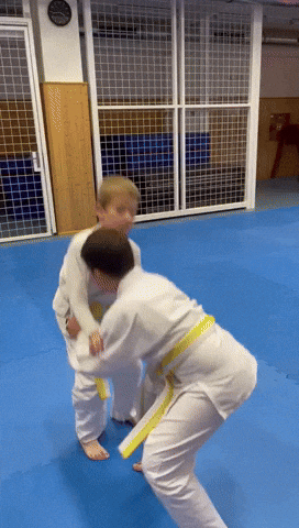 Judodoskol_Ol GIF