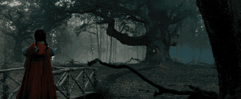 into the woods fairytale GIF by Disney