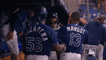 Major League Baseball Sport GIF by MLB