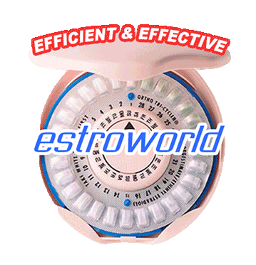 Estroworld Sticker