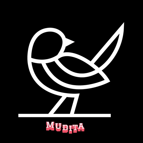 Mudita Bar GIF