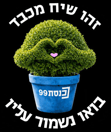 כבוד GIF by knessettv