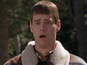 giphy.gif?cid=790b76115d2871b7677255324130b816&rid=giphy.gif