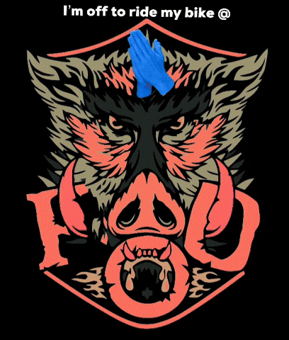 Pedalabikeaway GIF by fodmtb