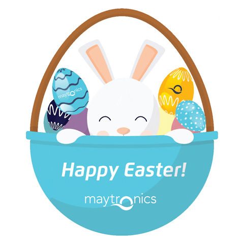 Easter Bunny Chocolate GIF by Maytronics
