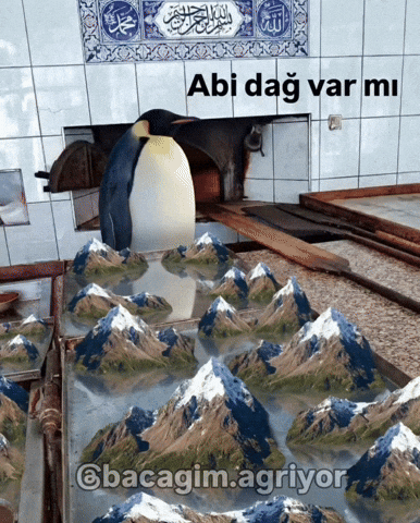 Penguen GIF
