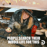 Looking Gold Rush GIF by Discovery
