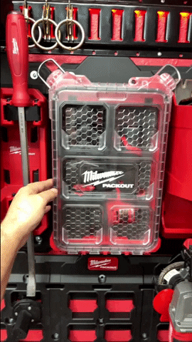 Organization GIF