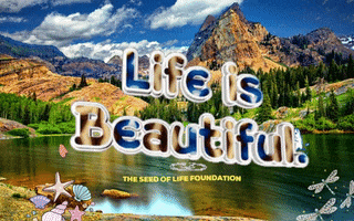 Happy Life Is Beautiful GIF by The Seed of Life Foundation