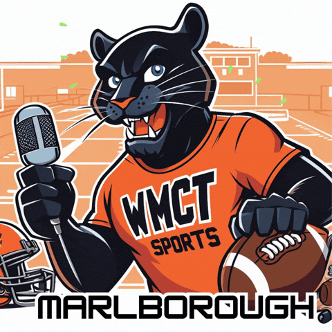WMCT-TV Marlborough GIF