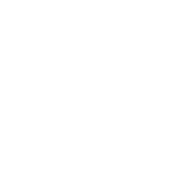 Horseshoe Sticker by True Religion