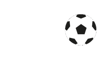 Soccer Fifaworldcup Sticker by GO Transit