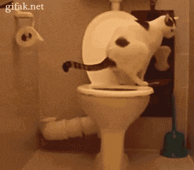 Potty GIF - Find & Share on GIPHY