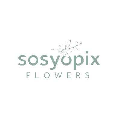 Sosyopix Sticker