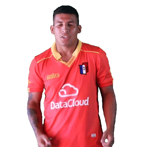 Golcde Sticker by Club Deportivo Español