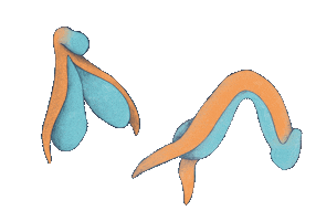 Libro Sticker by Violeta Benini