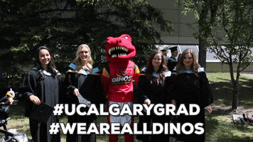 dinos canadian universities GIF by University of Calgary