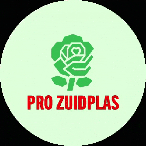 Politiek GIF by Groenlinkspvdazuidplas