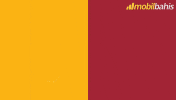 Galatasaray Gs GIF by mobilbahis
