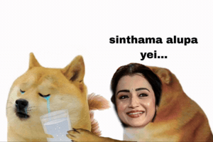 Vijay Troll GIF