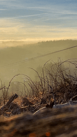 CableCar Seilbahn Braunlage