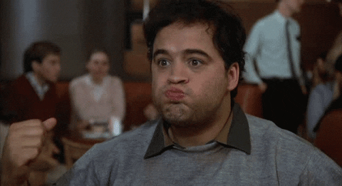 Image result for animal house gifs
