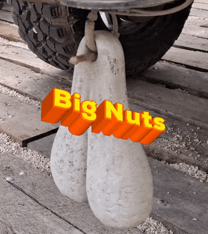 Big Nuts GIF