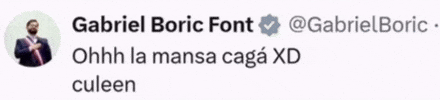 Gabriel Boric GIF