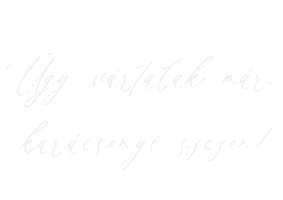 Magyargif Mik Sticker