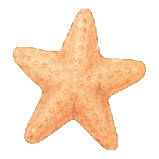 Water Sticker