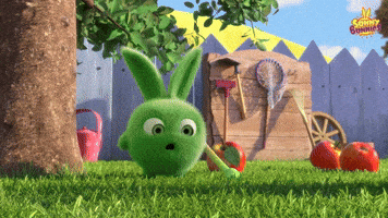 Bunny Oops GIF by Sunny Bunnies