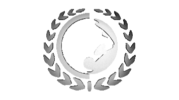 Renzo Gracie Jiu Jitsu Sticker by Insight BJJ