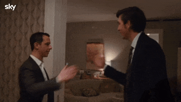Comedy Successionhbo GIF by Sky