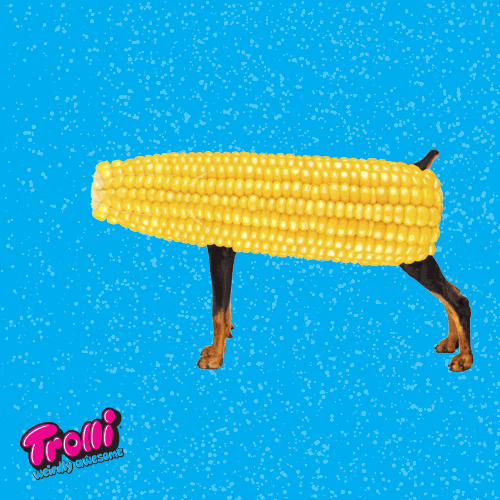 corn dog
