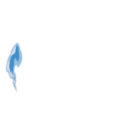 Salud Familia Sticker