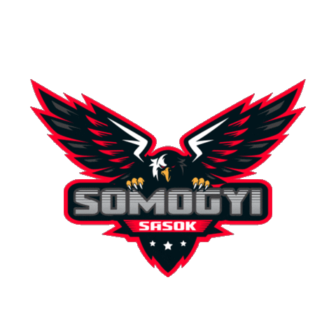 Sticker by Megyék Csatája