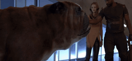 Inhumans Izle GIF