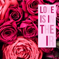 Love Roses Life Jesus Victoriabea4 Pink GIF