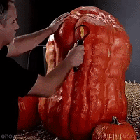 Drunk-pumpkin-carving GIFs - Get the best GIF on GIPHY